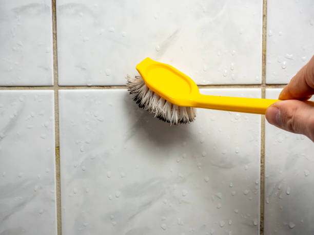 Best Home Mold Removal  in Kerrville, TX