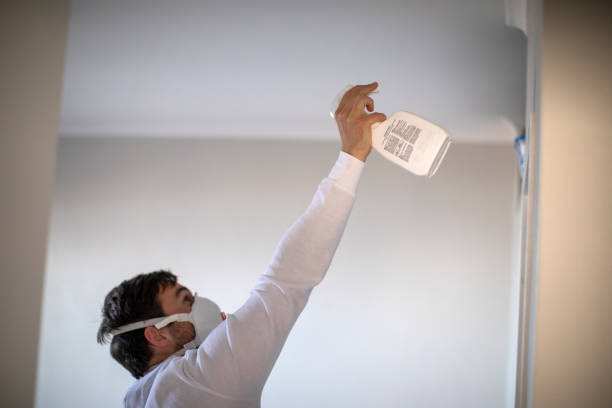 Best Crawl Space Mold Removal  in Kerrville, TX