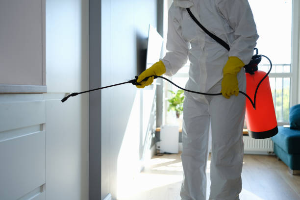 Water Damage Restoration in Kerrville, TX